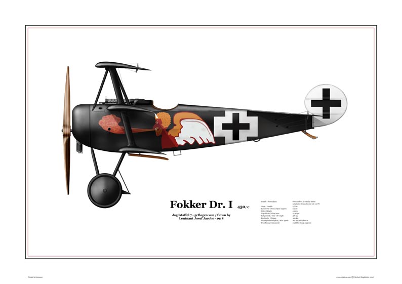 Fokker Dr.I - Jacobs