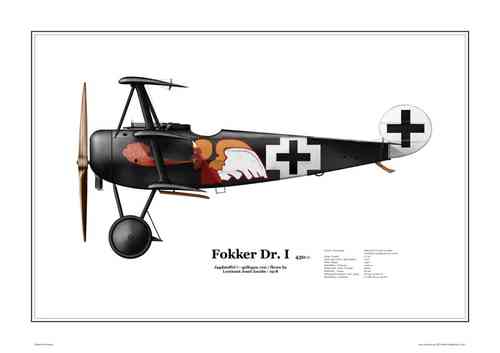 Fokker Dr.I - Jacobs